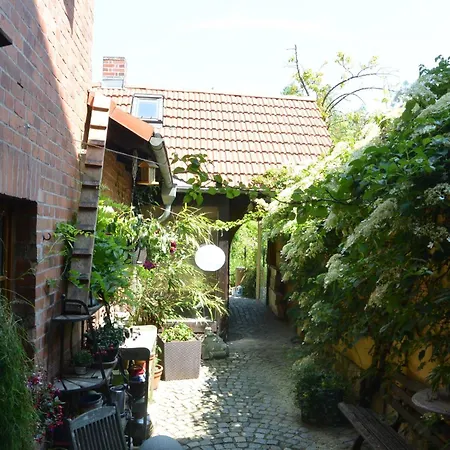 펜션 Junger-moritz