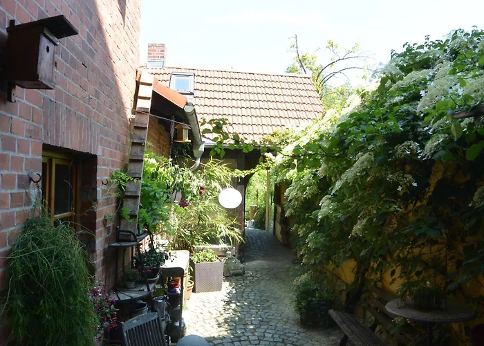 펜션 Junger-moritz